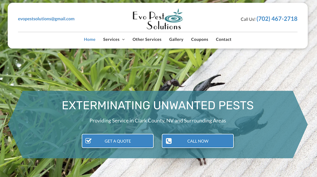 10 Best Pest Control Websites