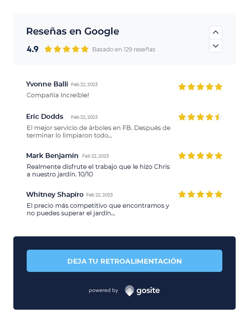 Reseñas de Google en GoSite.